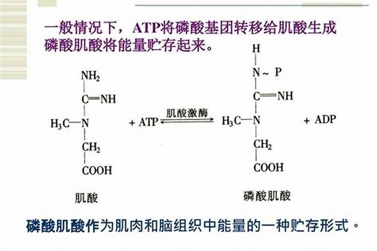 磷肥的作用是什么 磷肥怎么使用正确