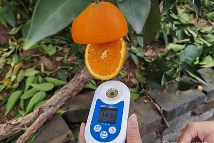 柑橘裂果用什么药？
