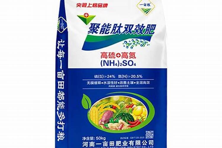 在农村,每亩租金500元,租用水田200亩种植水稻,能赚到多少钱？