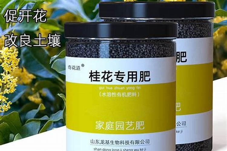 四季桂种植技术及病害防治