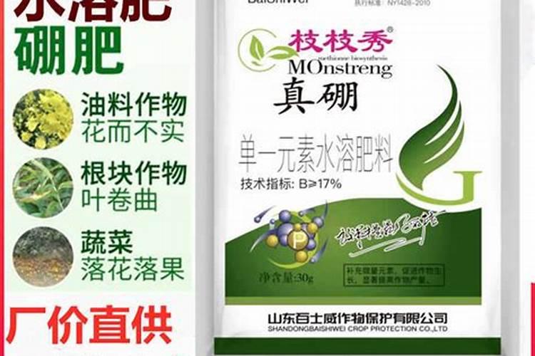 水稻硼肥的作用及使用方法