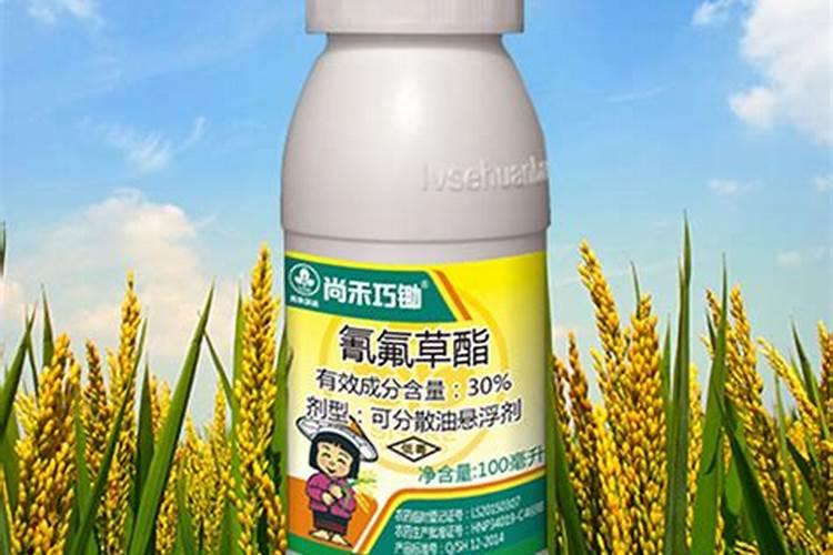 芸苔素多久喷一次,使用方法,效果功能