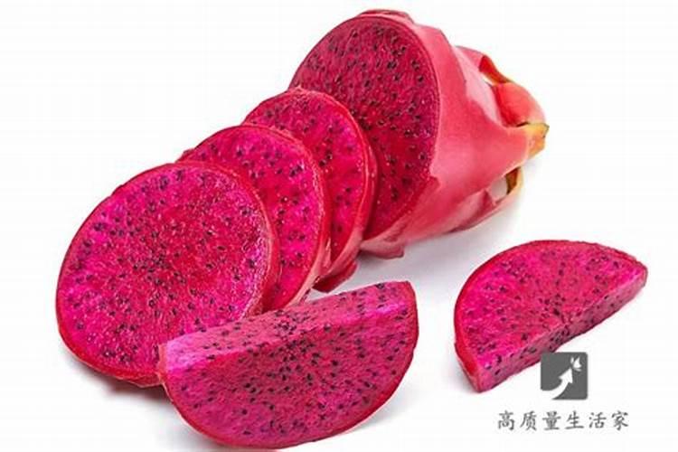 红水晶火龙果种植