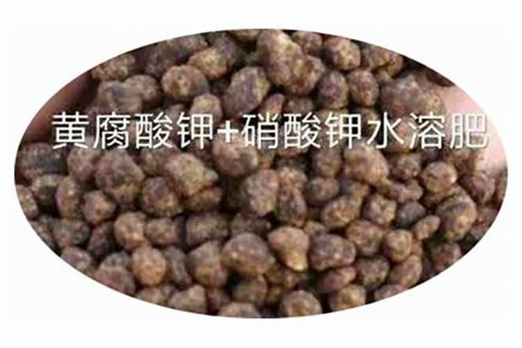 水溶肥用硝酸钾还是硫酸钾好
