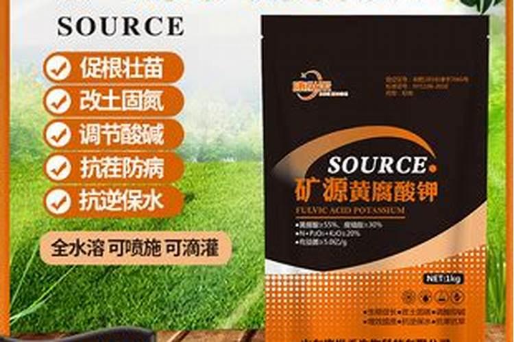 缓释肥一盆放几颗？
