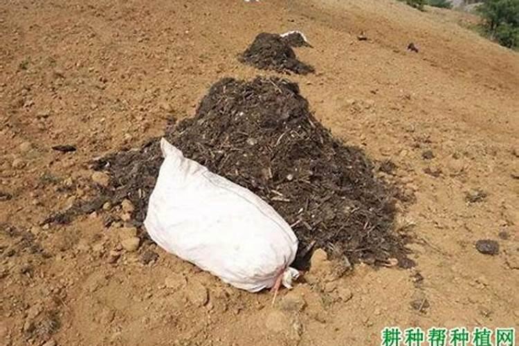 红糖下脚料生产的腐植酸有哪种