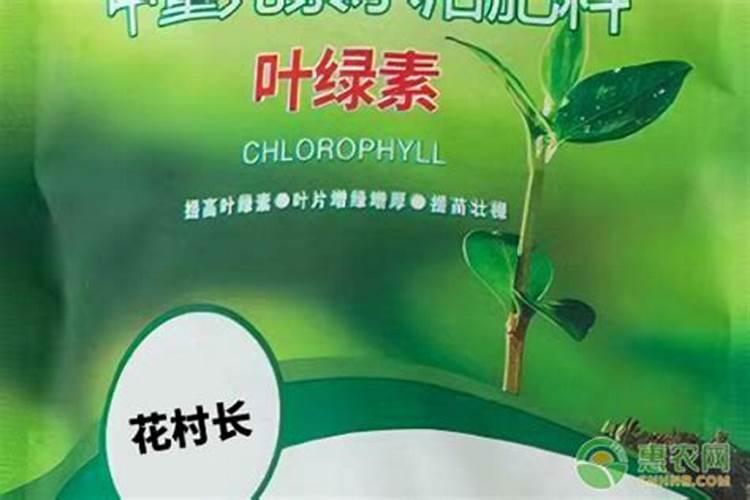叶面肥是有机肥吗 有机肥可以叶面喷施吗