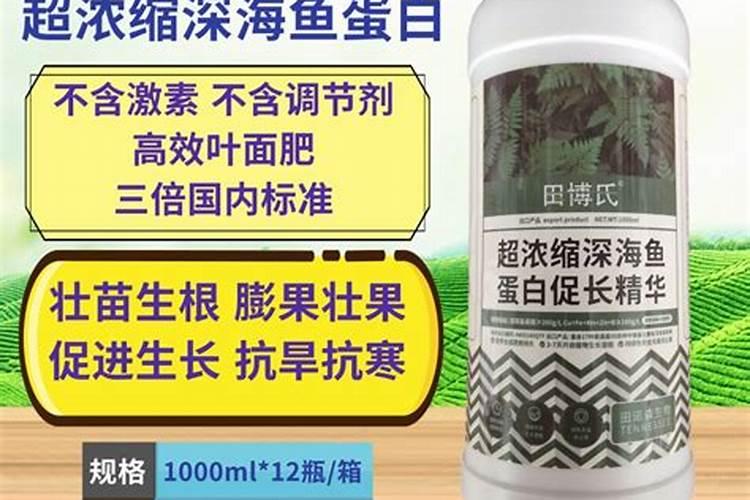 香瓜打什么药