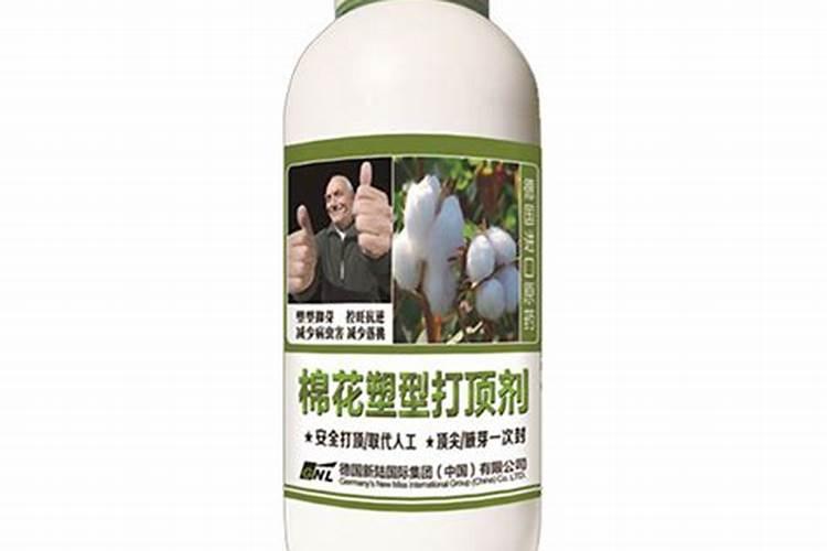 棉花用什么肥料好？用叶面肥喷施的注意事项有哪些