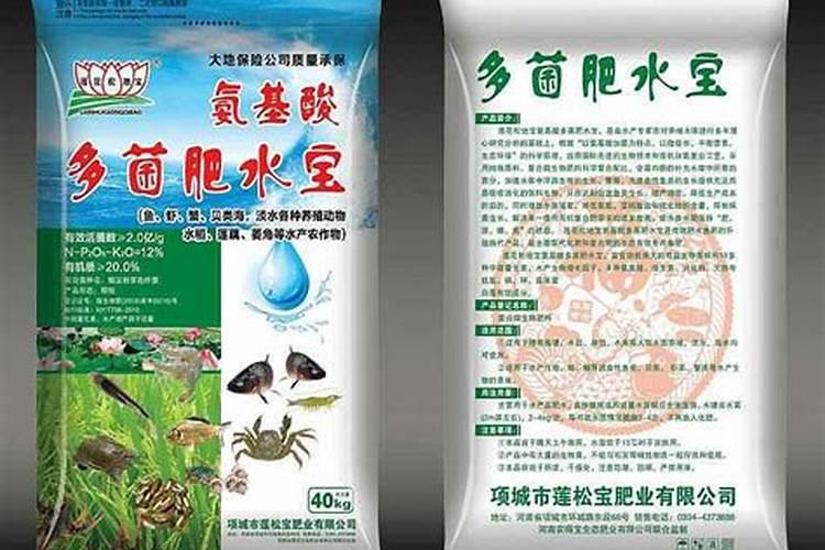 莲子如何种植