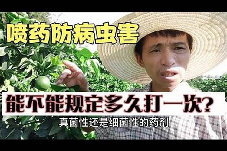 小麦喷施杀虫杀菌剂叶面肥几天能浇水？