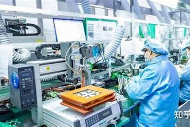 多肉用什么肥料最好