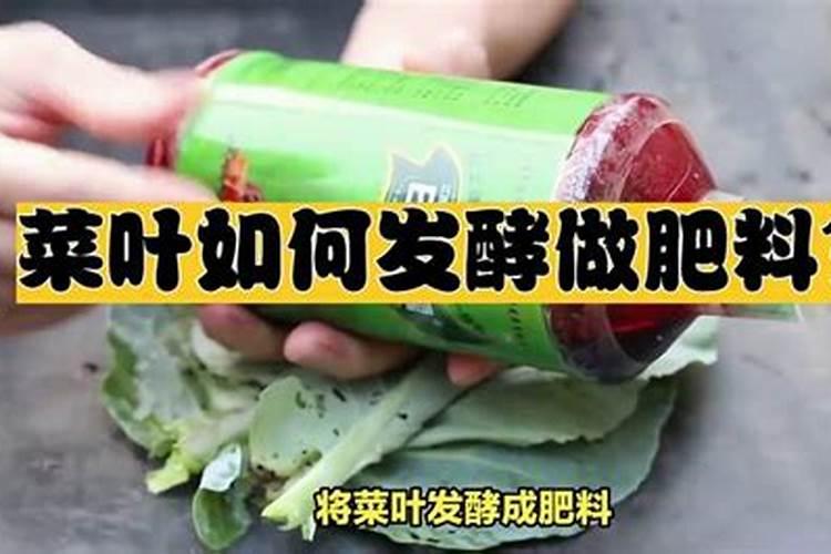 蔬菜怎么施肥 夏季蔬菜施肥的方法