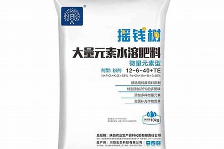 桔子树开花时怎样施肥保果