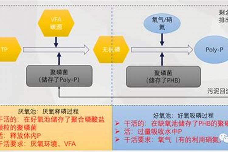 多磷酸盐干什么用的
