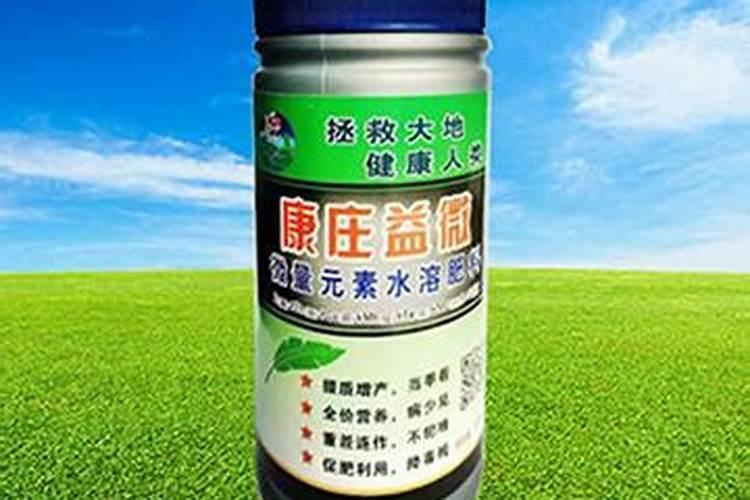 曲靖可以种植芒果树吗？
