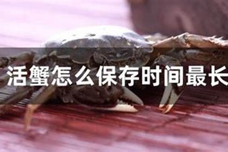 茶叶采摘时可以用鱼蛋白加磷酸二氢钾防冻呢