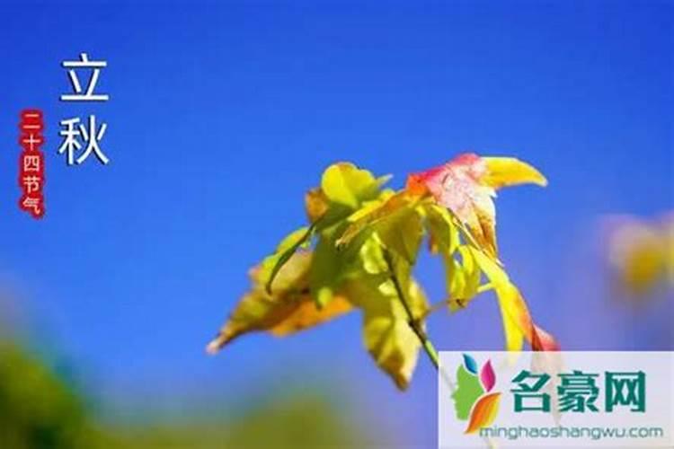 佛手立秋后可以喷保花保果肥吗？