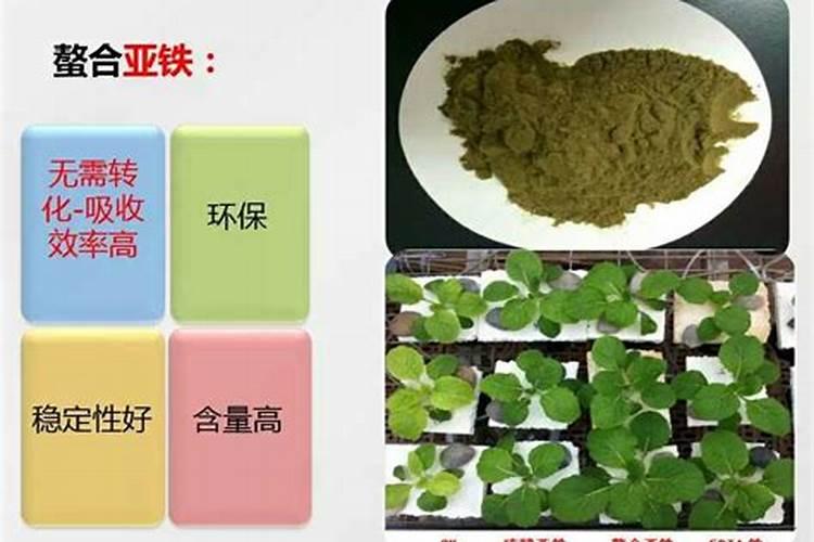 丝瓜能打多效座吗？
