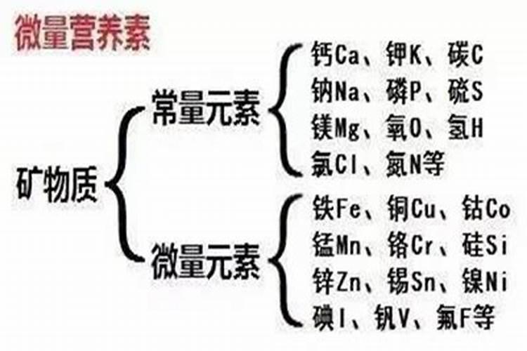 现在推动水肥一体化,那选哪种好？