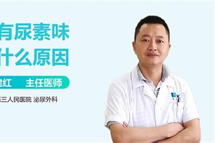 氮肥和尿素的区别