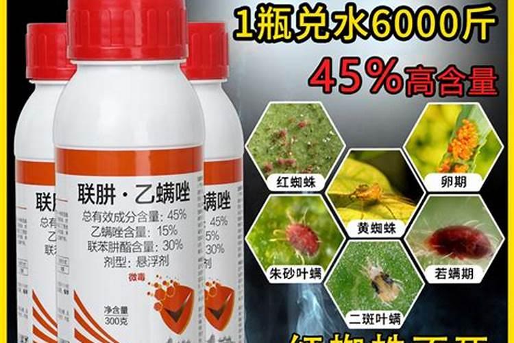 柑橘红黄蜘蛛有什么药