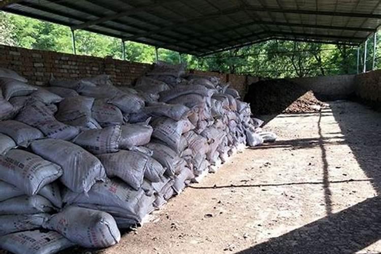 芫荽施肥技术要点是什么？