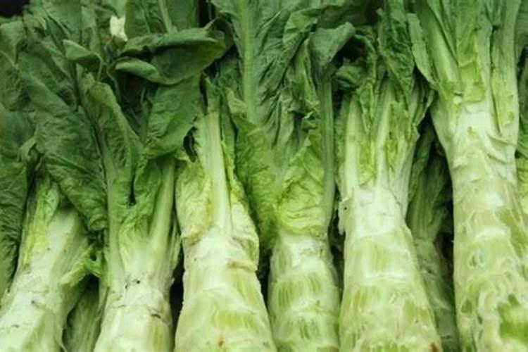 莴笋能用尿素肥吗 莴笋叶面肥用法用量