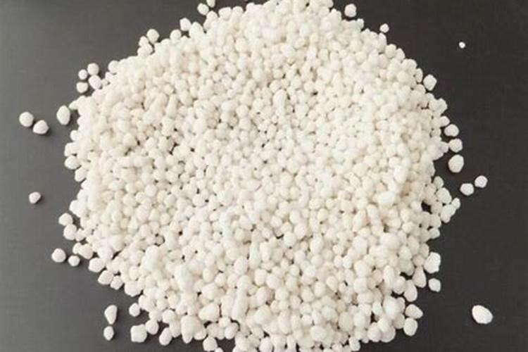 长寿花用什么肥料最好