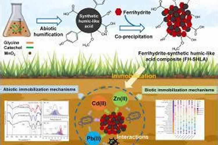 腐植酸钠在水产中的应用