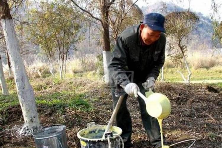 硫酸镁肥的标准及作用功效硫酸镁肥是一种天然矿物质肥料
