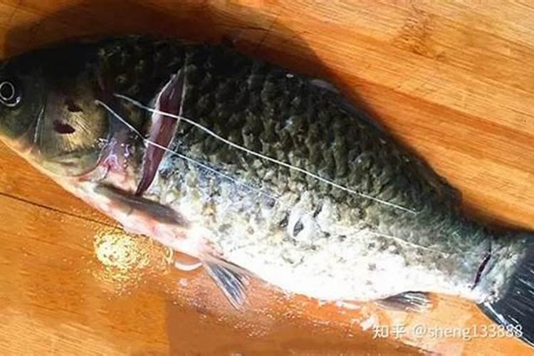 发酵鱼蛋白为什么发臭了