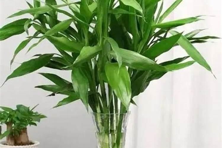 怎样在 鸡蛋壳中获取钙