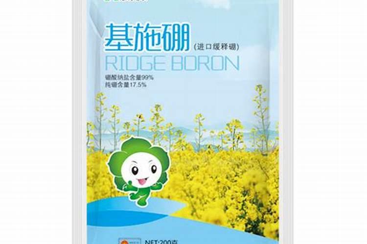 如何施用硼肥？