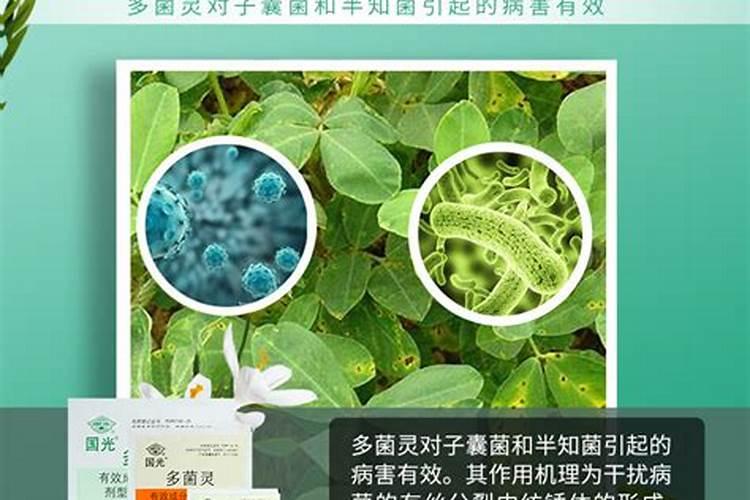 多菌灵和恶毒灵哪个给土壤消毒好