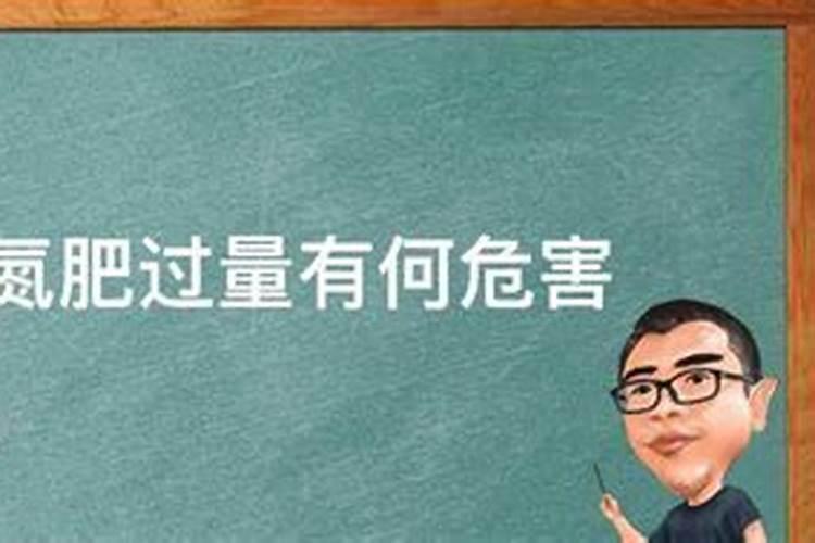 辣椒种植用什么肥料最好