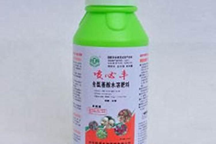 茶花六月份养护一定要避开的事项