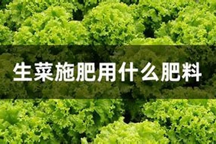 牡丹叶片喷了除草剂之后还能存活吗
