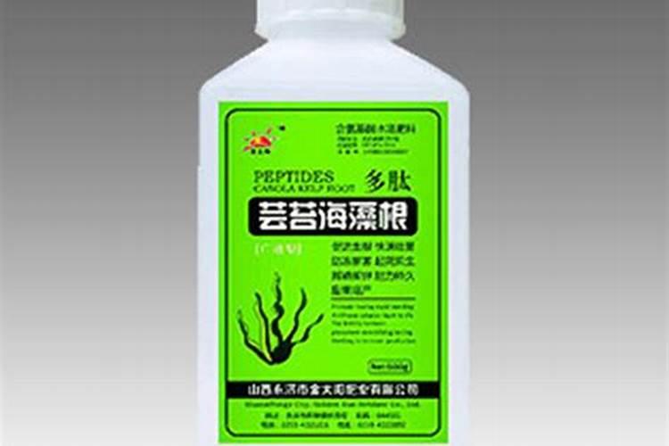 西瓜到中午就萎焉了,啥原因