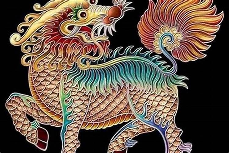 怎样养好非洲菊？