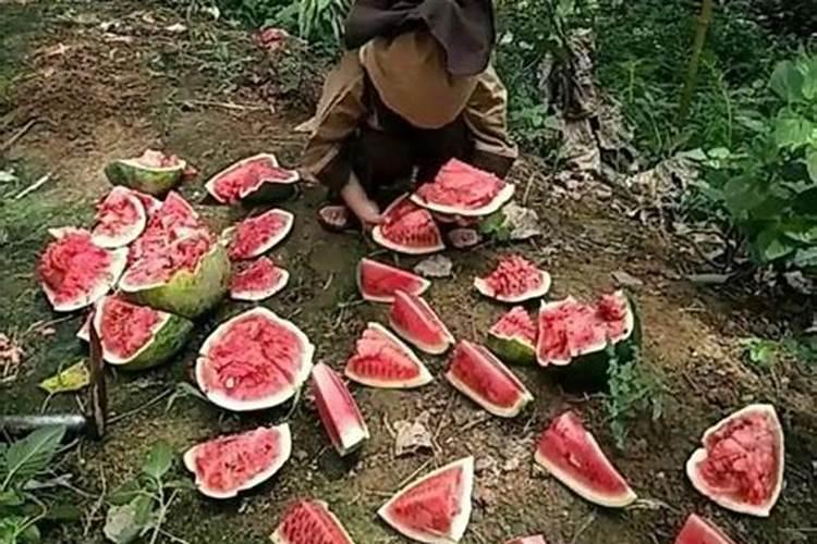 西瓜结果了需要施什么肥料