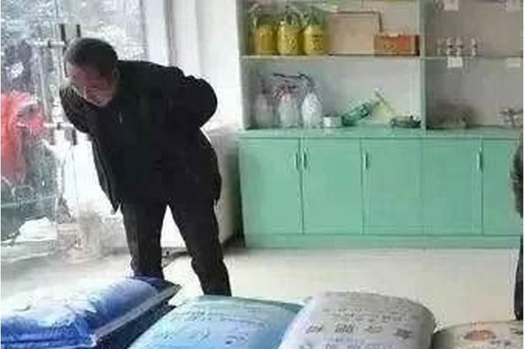 松土肥料有哪些 疏松土壤用什么肥料