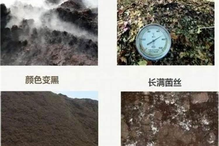 人的大小便怎么发酵可以当有机肥