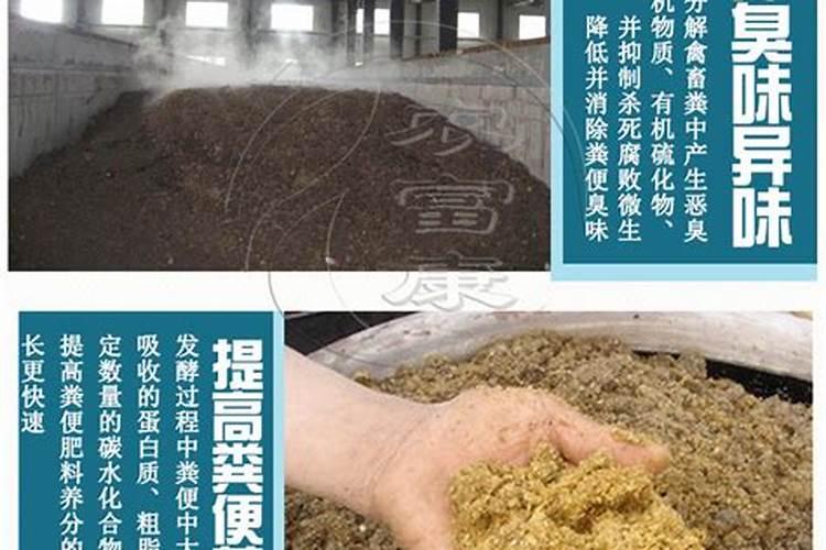 土壤酸化如何改良？
