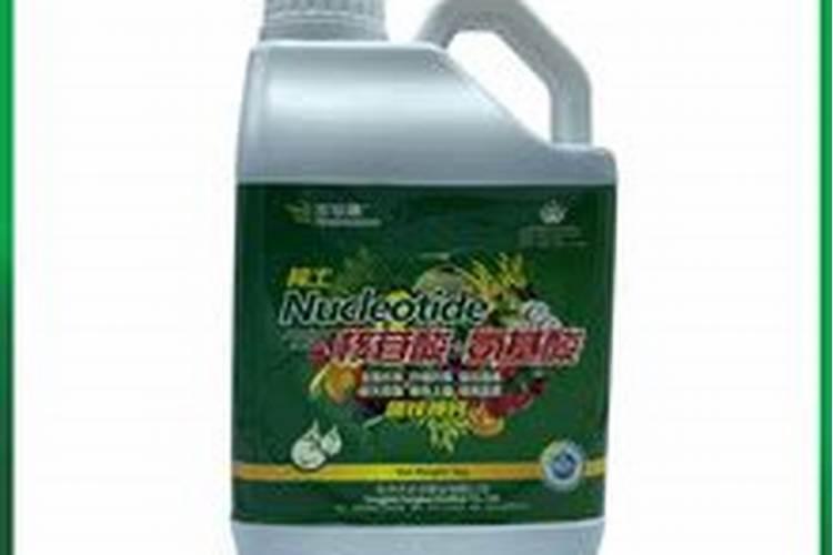 新疆和润达生态农业科技有限公司怎么样？