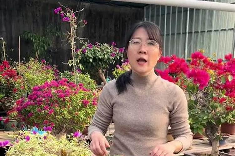 202020水溶肥配方