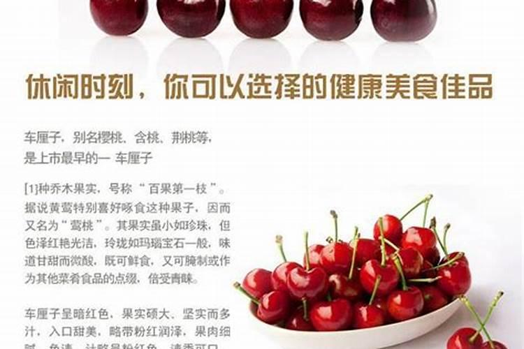 盆栽车厘子施什么肥最好