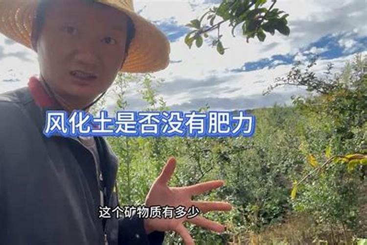 怎样让花草长得茂盛 让植物长得茂盛的方法