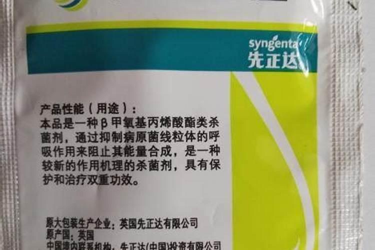 各位老师,葡萄开花之前打点什么药好