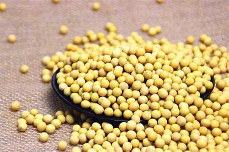葡萄施肥时豆饼和化肥放在一块可以吗